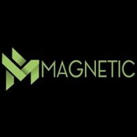 Magnetic Control